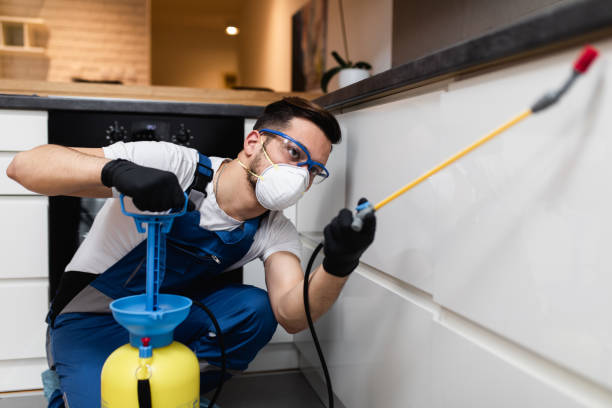 Best Pest Inspection Near Me  in Groveland, FL