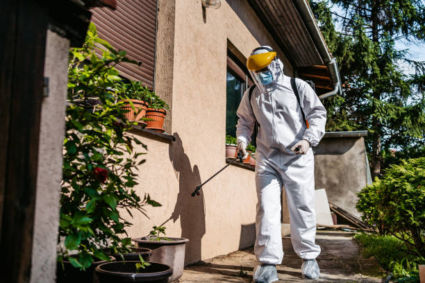 Best Affordable Pest Control Services  in Groveland, FL