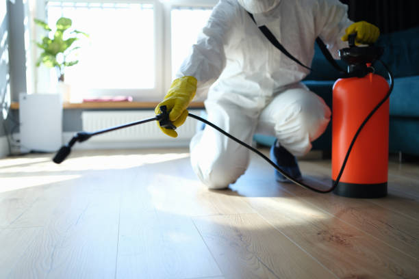 Trusted Groveland, FL Pest Control Experts