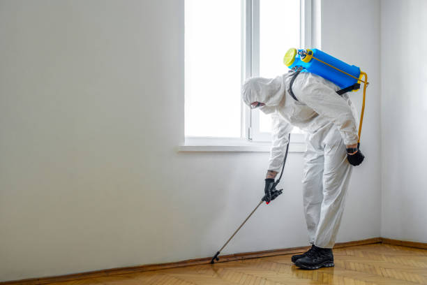 Best Rat Extermination Near Me  in Groveland, FL