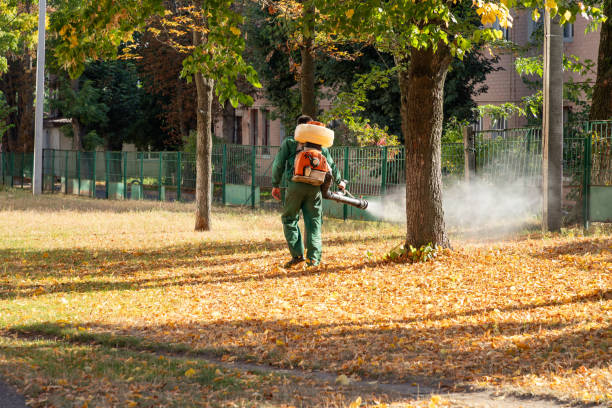 Best Mosquito Control Services  in Groveland, FL